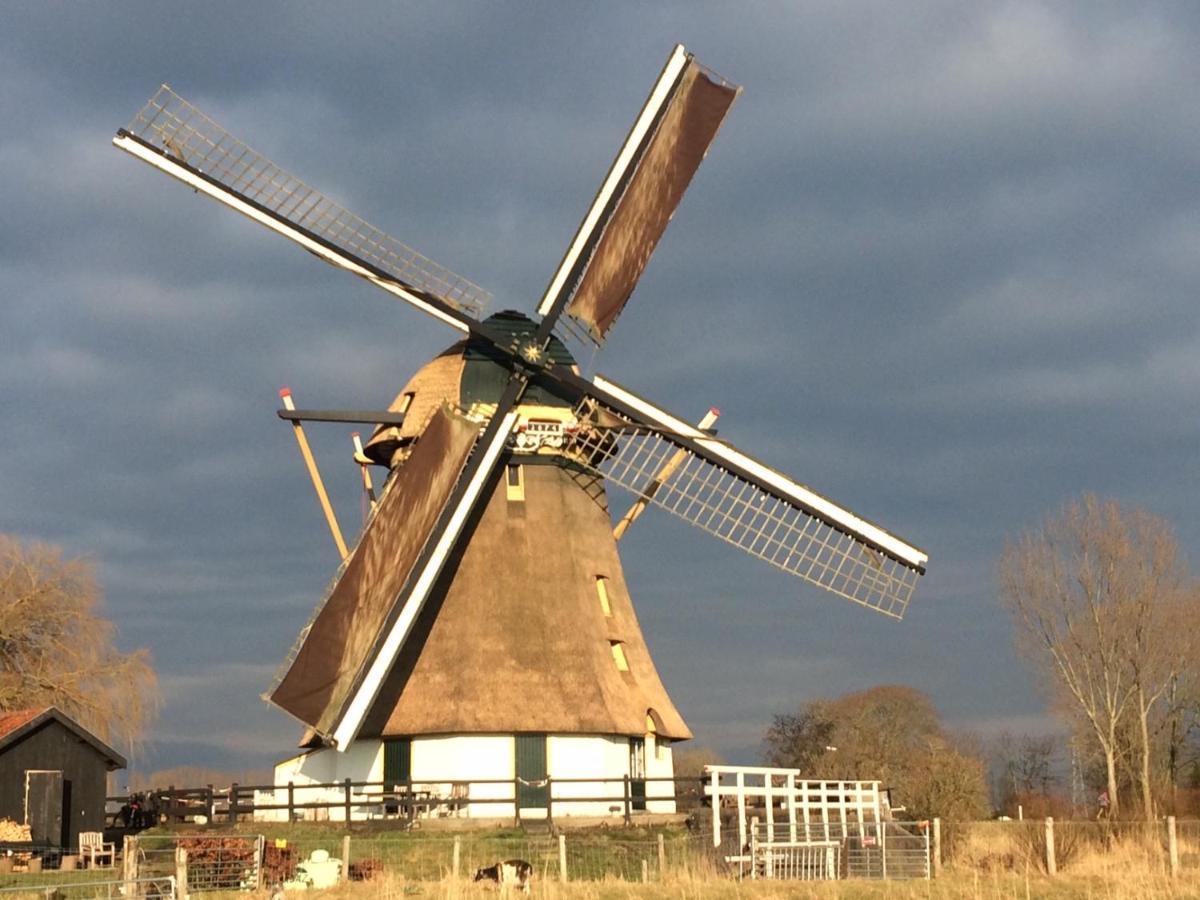 Mondriaanmolen, A Real Windmill Close To Amsterdam Abcoude Exteriér fotografie