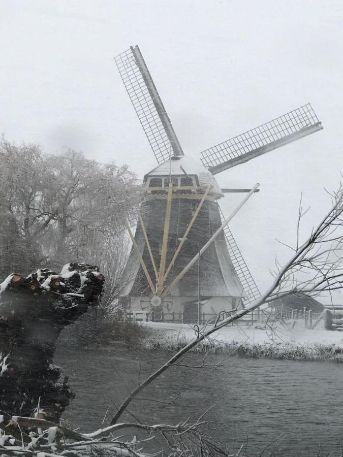 Mondriaanmolen, A Real Windmill Close To Amsterdam Abcoude Exteriér fotografie